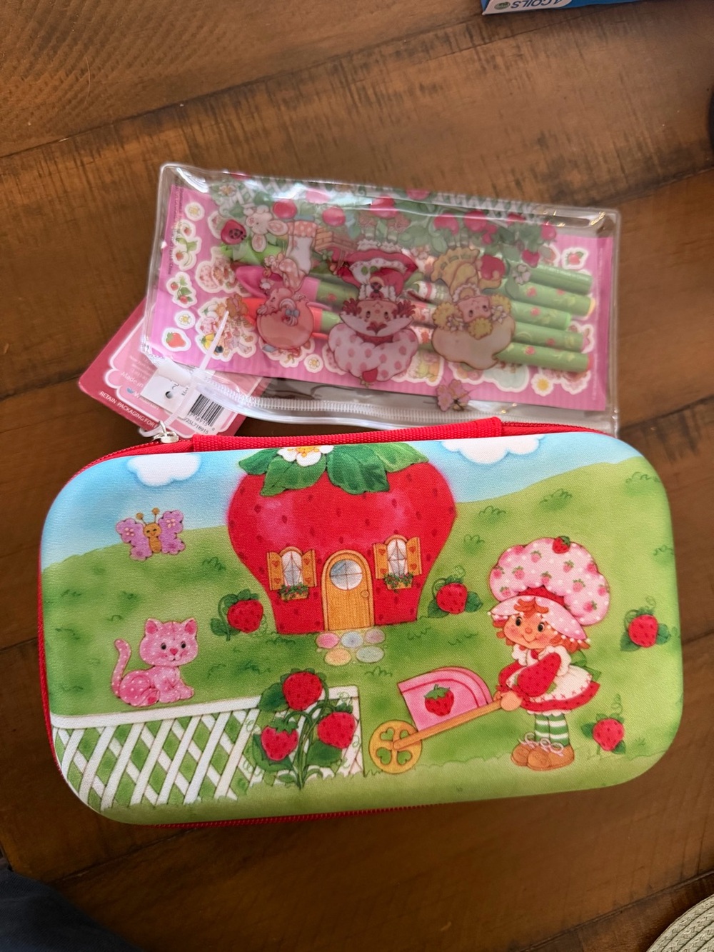 Strawberry Shortcake Hard Case Writing Set with 5 Gel Pens New